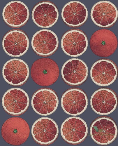 Tapeta Owoce Cole&Son Arance 114/24046 Fornasetti Senza Tempo