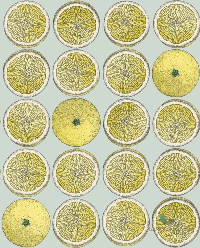 Tapeta Owoce Cole&Son Arance 114/24048 Fornasetti Senza Tempo