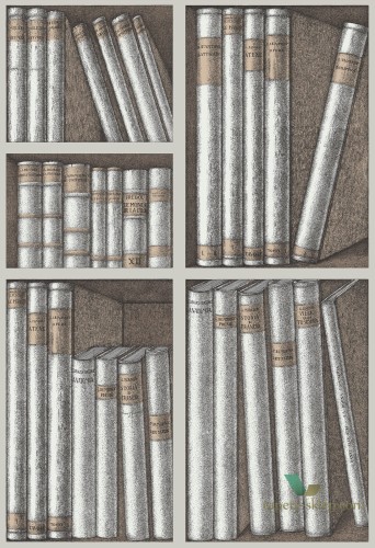 Tapeta Półka z Książkami Cole&Son Ex Libris 114/15029 Fornasetti Senza Tempo