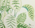 Tapeta liście Sanderson 216630 Calathea The Glasshouse