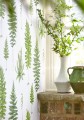 Tapeta liście paproci Sanderson 216633 Fernery The Glasshouse
