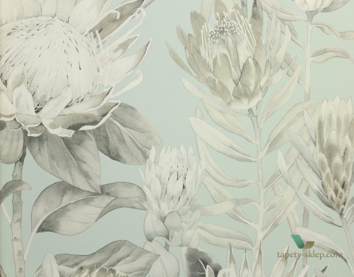 Tapeta kwiaty Sanderson 216645 King Protea The Glasshouse