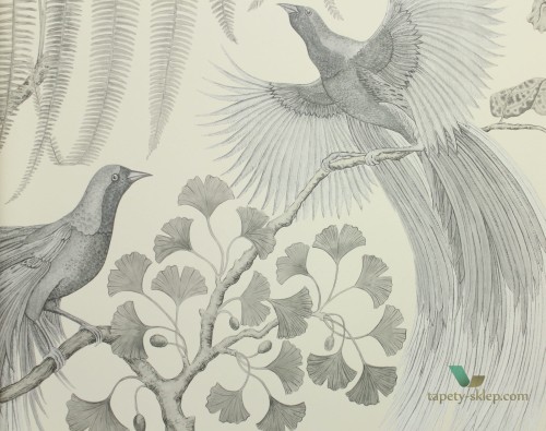 Tapeta ptaki i rośliny Sanderson 216652 Bird of Paradise The Glasshouse