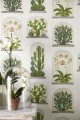 Tapeta kaktusy Sanderson 216656 Terrariums The Glasshouse