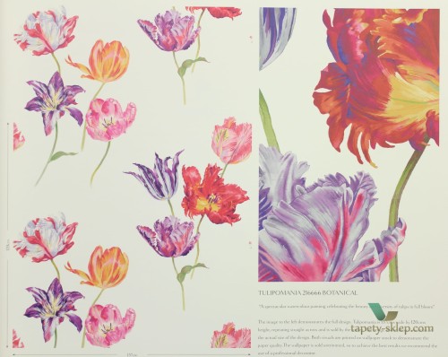 Tapeta tulipany Sanderson 216666 Tulipomania The Glasshouse
