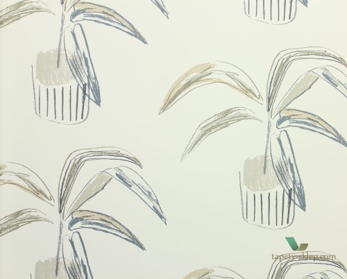 Tapeta palmy Scion 111991 Crassula Zanzibar