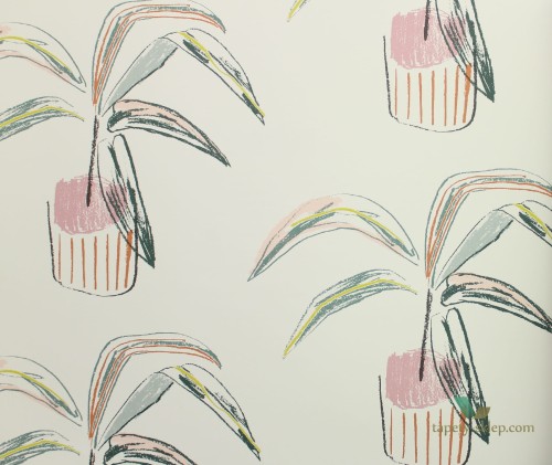Tapeta palmy Scion 111992 Crassula Zanzibar