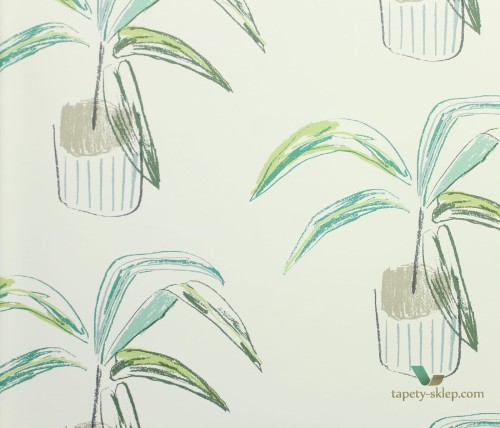 Tapeta palmy Scion 111993 Crassula Zanzibar