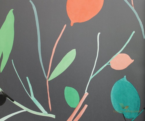 Tapeta Scion 111997 Oxalis Zanzibar