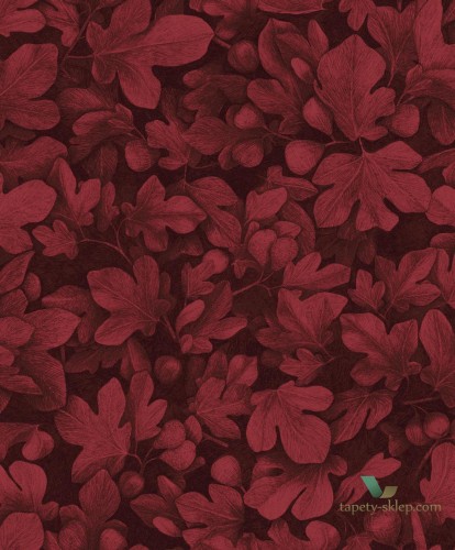 Tapeta liście Khroma KEN102 Ficus Kent