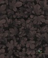 Tapeta liście Khroma KEN105 Ficus Kent
