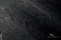 Tapeta Arte Moooi MO2011 Calligraphy Bird Extinct Animals