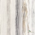 Tapeta 112064 Vitruvius Anthology 06