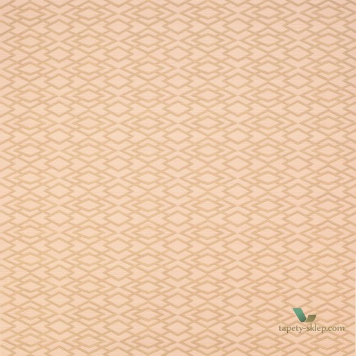 Tapeta Jane Churchill J8001-05 Atmosphere IV