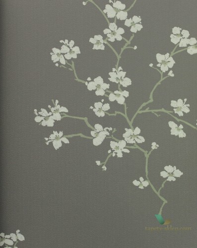 Tapeta Esta 148737 Blush