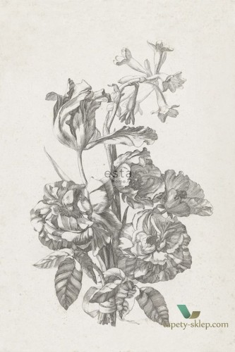 Mural Esta 158887 Blush