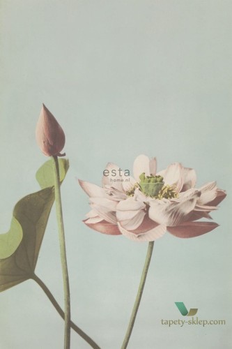 Mural Esta 158890 Blush