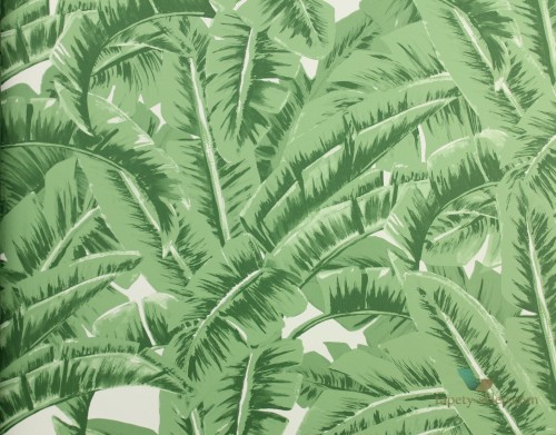 Tapeta Esta 138984 Jungle Fever