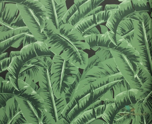 Tapeta Esta 138985 Jungle Fever