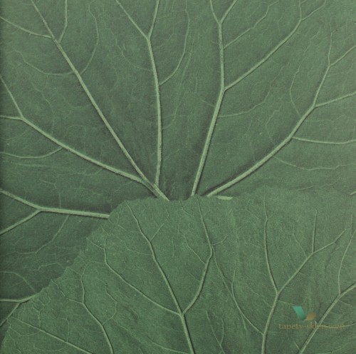 Tapeta Esta 138996 Jungle Fever