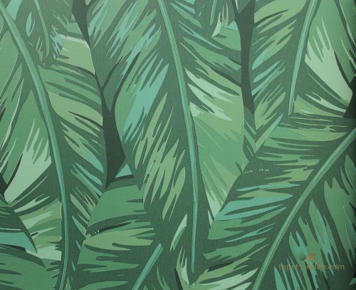 Tapeta Esta 139016 Jungle Fever