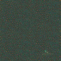 Tapeta Cole & Son 109/6033 Senzo Spot Ardmore