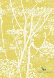 Tapeta Kwiaty Kopru Cole&Son Cow Parsley 66/7051 The Conptemporary Collection