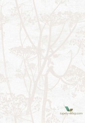 Tapeta Kwiaty Kopru Cole&Son Cow Parsley 95/9052 The Conptemporary Collection