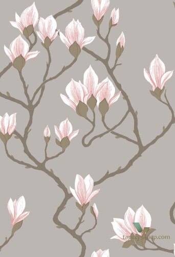 Tapeta Kwiaty Magnolii Cole&Son Magnolia 72/3010 The Conptemporary Collection