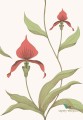 Tapeta Kwiaty Orchidei Cole&Son Orchid 95/10054 The Conptemporary Collection