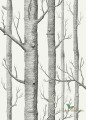 24H Tapeta W Drzewa Cole&Son Woods 69/12147 The Conptemporary Collection