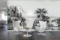 Fototapeta Rebel Walls R16221 Swan Lake