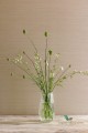 Tapeta Colefax and Fowler 07179/06 Sandrine Textured Wallpapers