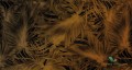 Tapeta Muance MU11067 Passion Leaf