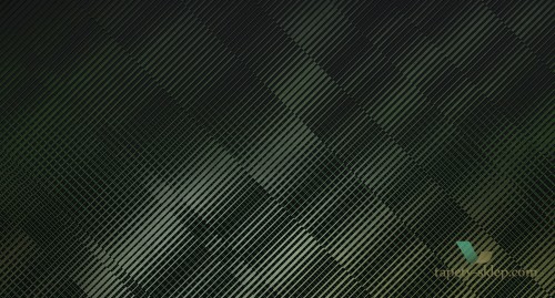 Tapeta Muance MU11087 Uncensored