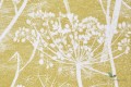 Tkanina kwiaty kopru Cole&Son Cow Parsley Len F111/5020 The Contemporary Collection
