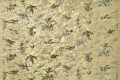 Tkanina Jedwab Cole&Son Hummingbirds F111/1001 The Contemporary Collection