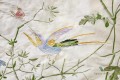 Tkanina Jedwab Cole&Son Hummingbirds F111/1002 The Contemporary Collection