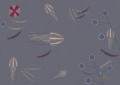 Fototapeta Wall&Deco WDGA1902 GENTLY ADRIFT Contemporary 2019