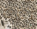Fototapeta Wall&Deco WDMA1901 MY AFRICA Contemporary 2019