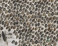 Fototapeta Wall&Deco WDMA1902 MY AFRICA Contemporary 2019