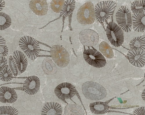 Fototapeta Wall&Deco WDNG1902 no gravity Contemporary 2019