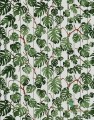 Fototapeta Wall&Deco WDRI1901 RIO Contemporary 2019