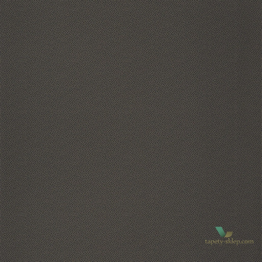 Tapeta Caselio MLG 100409027 Moonlight