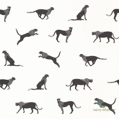 Tapeta w zwierzęta Caselio MLG 101140096 Moonlight