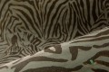 Tapeta Zebry Arte 28002 Grant Wildwalk