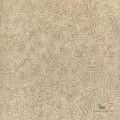 Tapeta Designers Guild PDG1092/06 Fresco