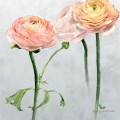 Mural Designers Guild PDG1099/01 Tourangelle Scene 1