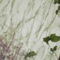 Tapeta Designers Guild PDG1089/03 Carrara Grande