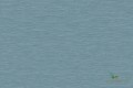 Tapeta Texam RW509 Buckram RAW